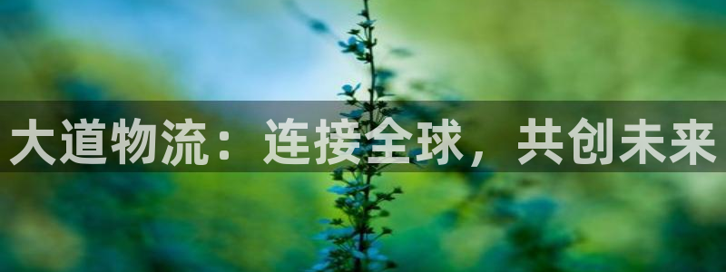 超凡国际流水怎么算：大道物流：连接全
