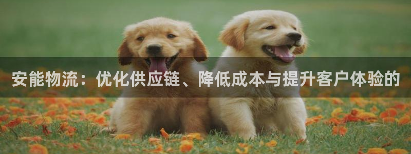 超凡国际官网下载多少钱一个：安能物流