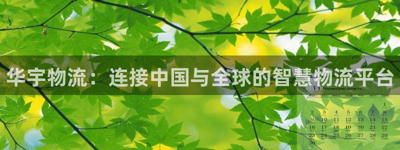 超凡国际官网预测：华宇物流：连接中国