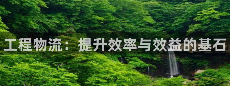 超凡国际官网下载链接是什么：工程物流