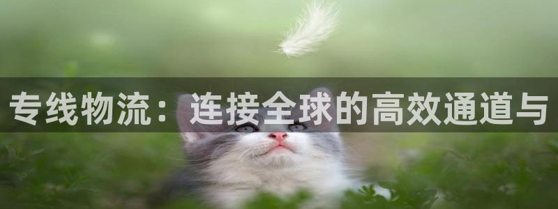 超凡国际官网入口南宫：专线物流：连接