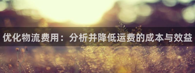 超凡国际能退款吗：优化物流费用：分析
