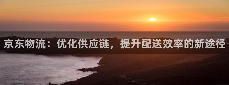 超凡国际充值不处理：京东物流：优化供应链，提升配送效率的新途