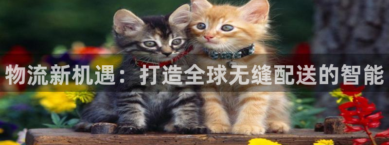 超凡国际充值不处理：物流新机遇：打造