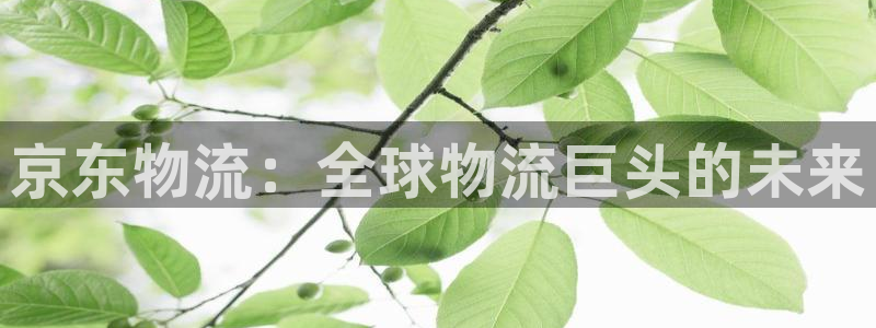 超凡国际预测加拿大：京东物流：全球物