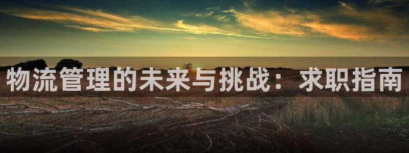 超凡国际注册用户名是什么：物流管理的