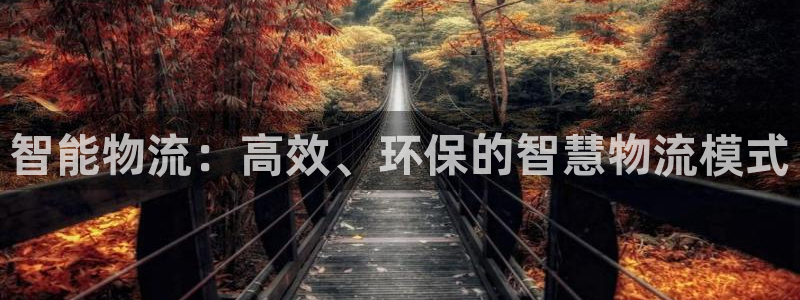 超凡国际加拿大下载：智能物流：高效、