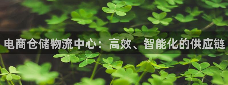 超凡国际官网下载链接是什么：电商仓储
