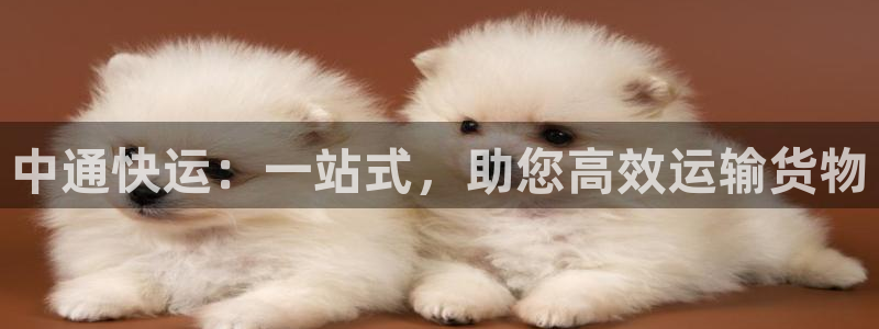 超凡国际登录用户名登录不上：中通快运