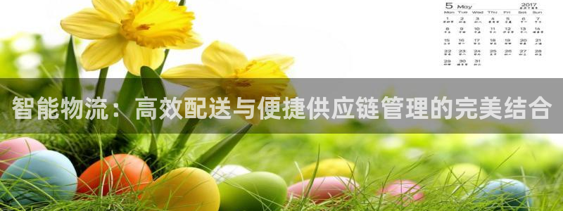 超凡国际黑款：智能物流：高效配送与便