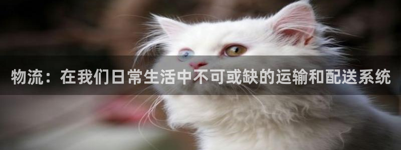 超凡国际注册用户名是什么：物流：在我