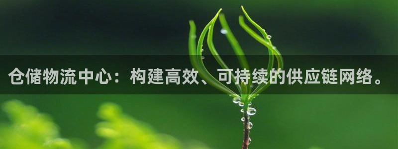 超凡国际：仓储物流中心：构建高效、可