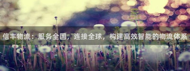 超凡国际充值金额随便：信丰物流：服务