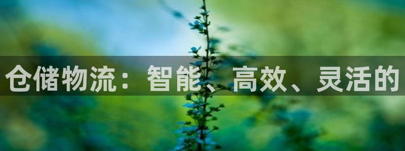 超凡国际官网下载加拿大：仓储物流：智